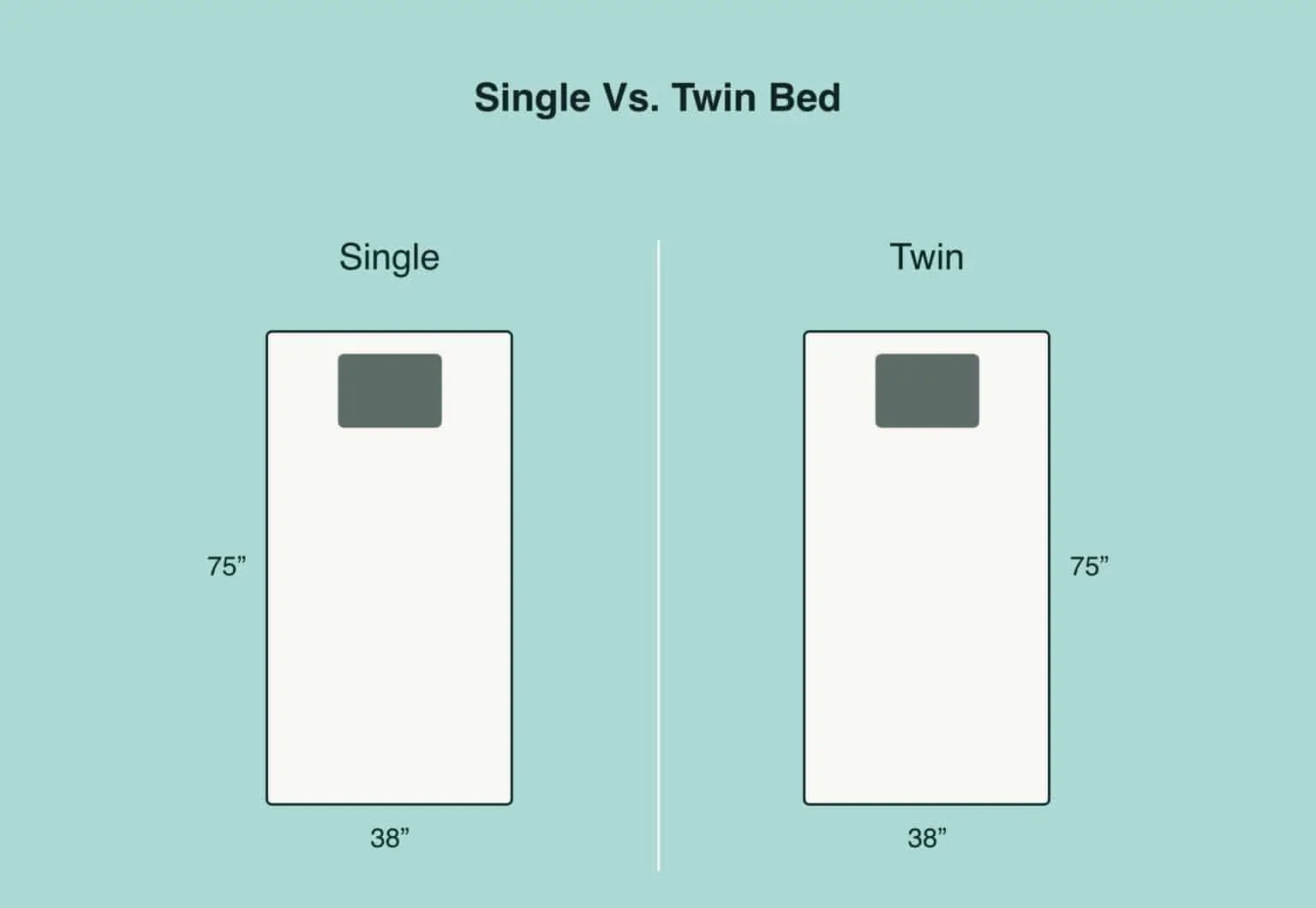 Single vs Twin Bed: What’s the Difference?