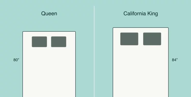 california king vs queen illusttration