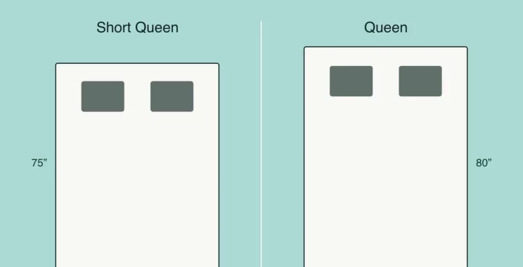 short queen vs queen illustration