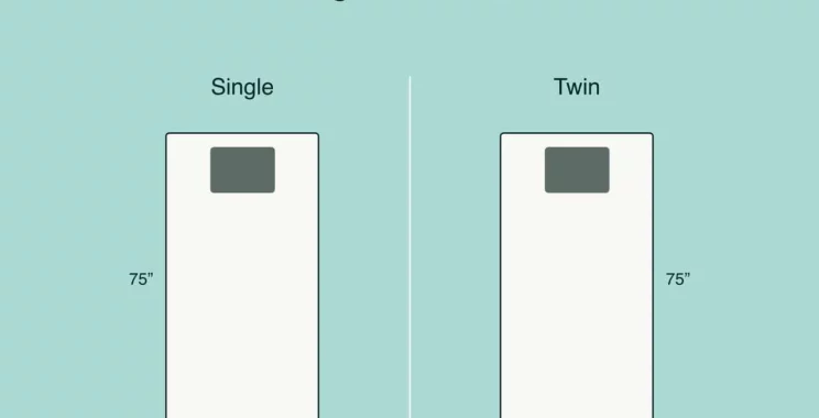 single vs twin bed illustration