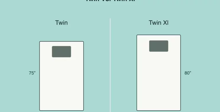twin vs twin xl illustration